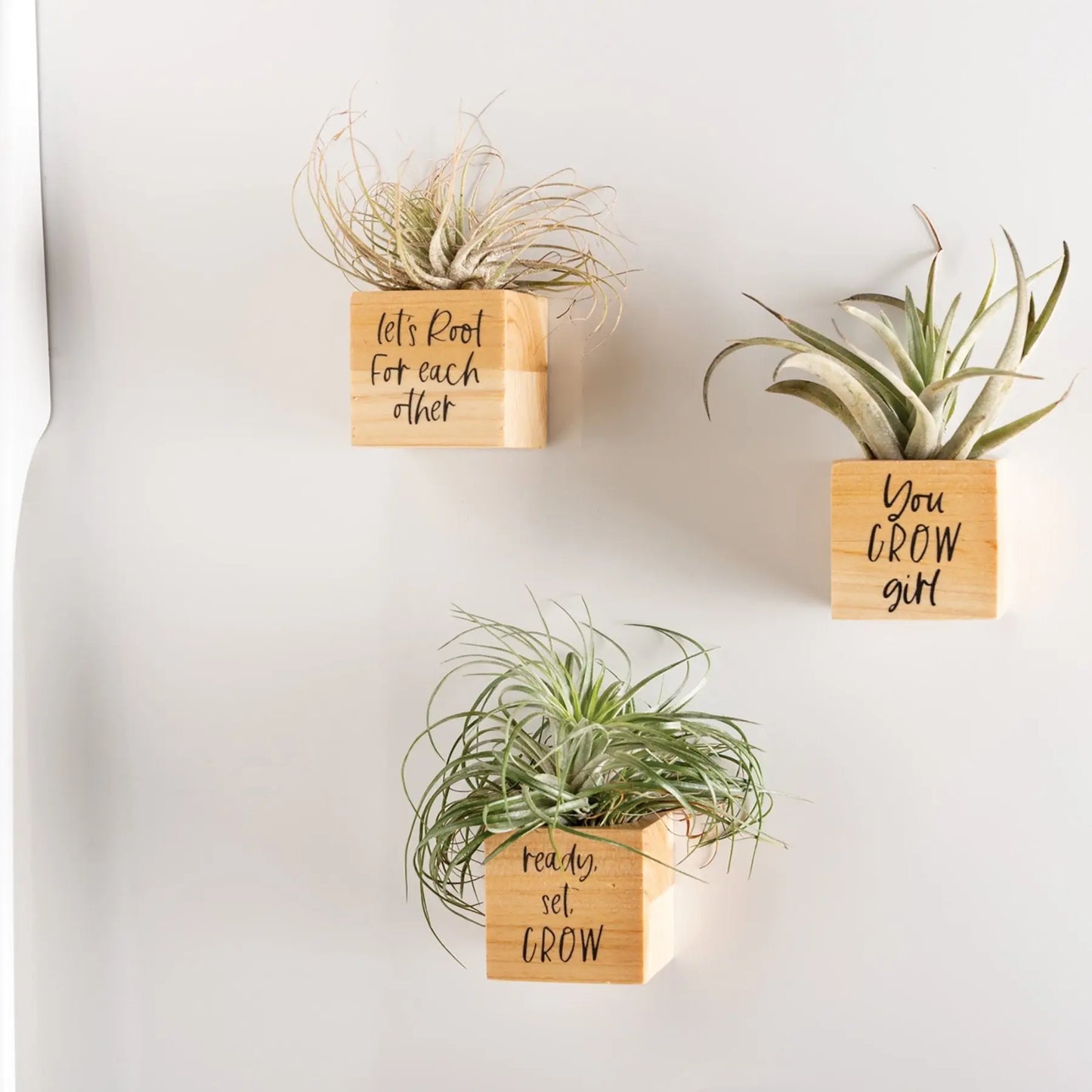 You Grow Planter Magnet Set