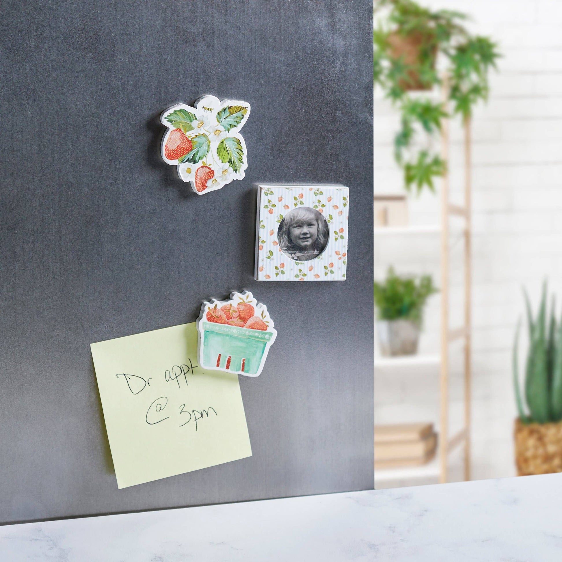 Berry Photo Magnet Set Primitives by Kathy
