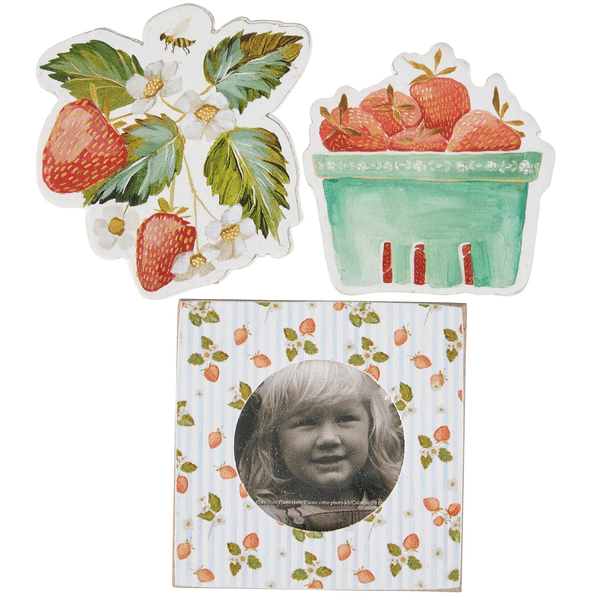 Berry Photo Magnet Set Primitives by Kathy