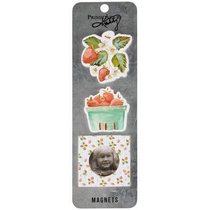 Berry Photo Magnet Set Primitives by Kathy