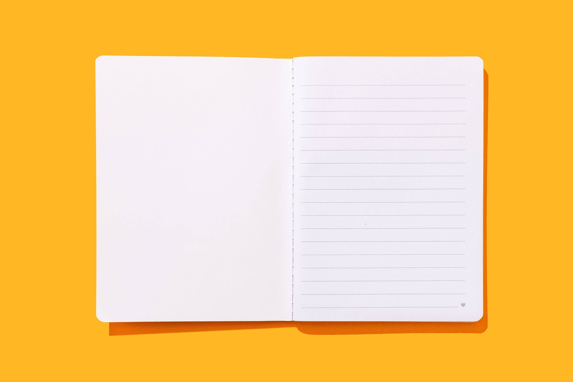Colorful Daisy & Gingham Notebook Set - 2 Piece Set Taylor Elliott Designs
