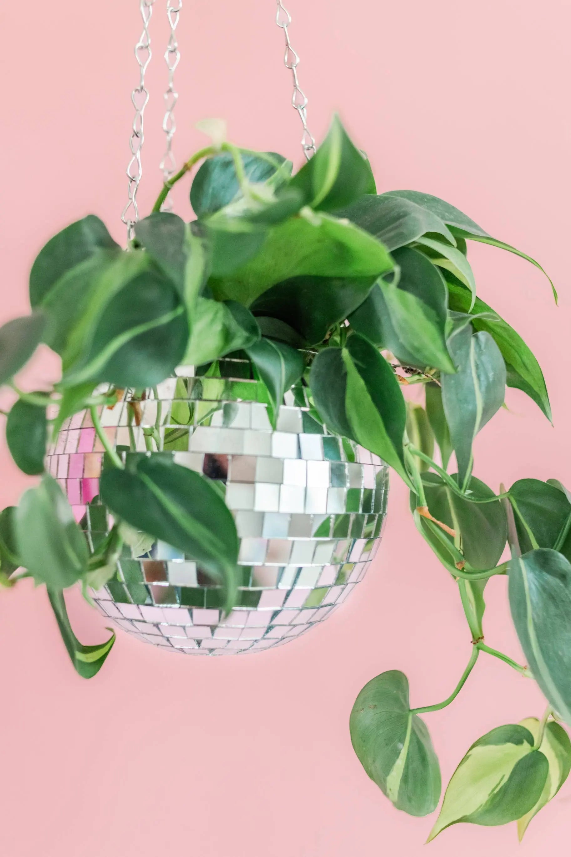 Disco Ball 6" Hanging Planter