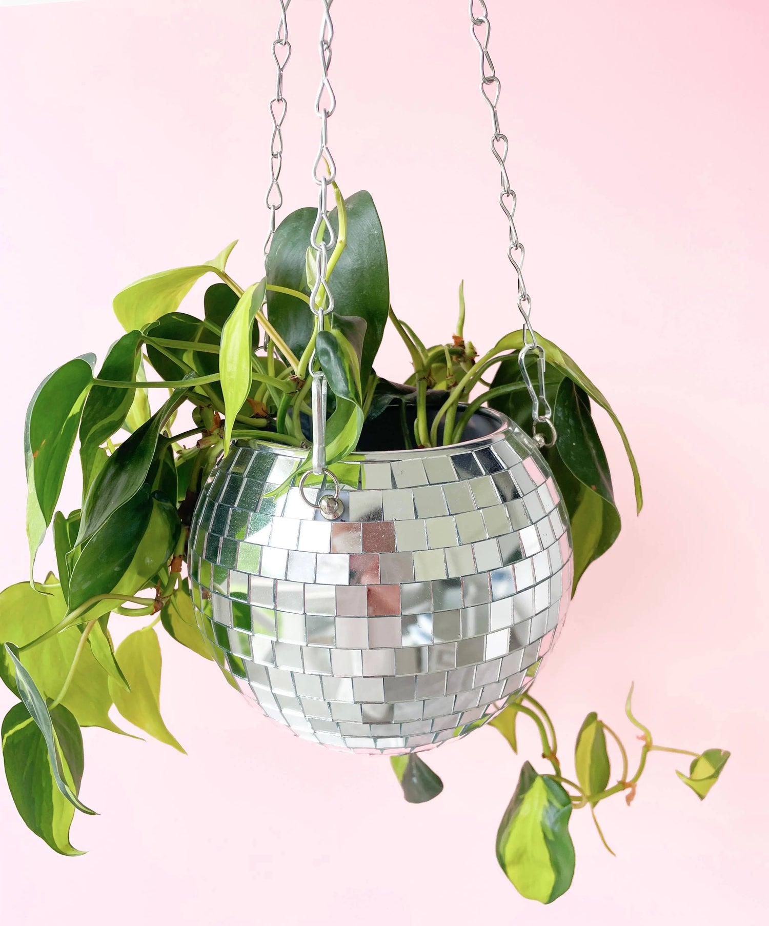 Disco Ball 6" Hanging Planter - Just So Happy