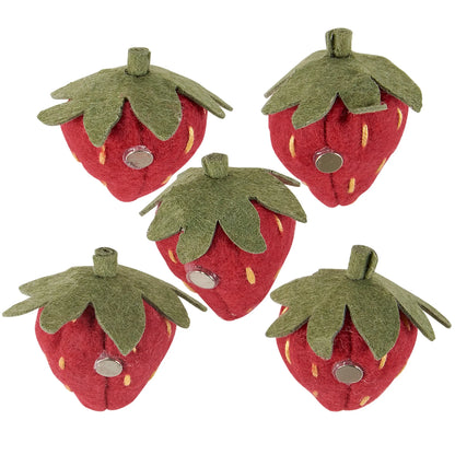Strawberry Felt Magnet Set