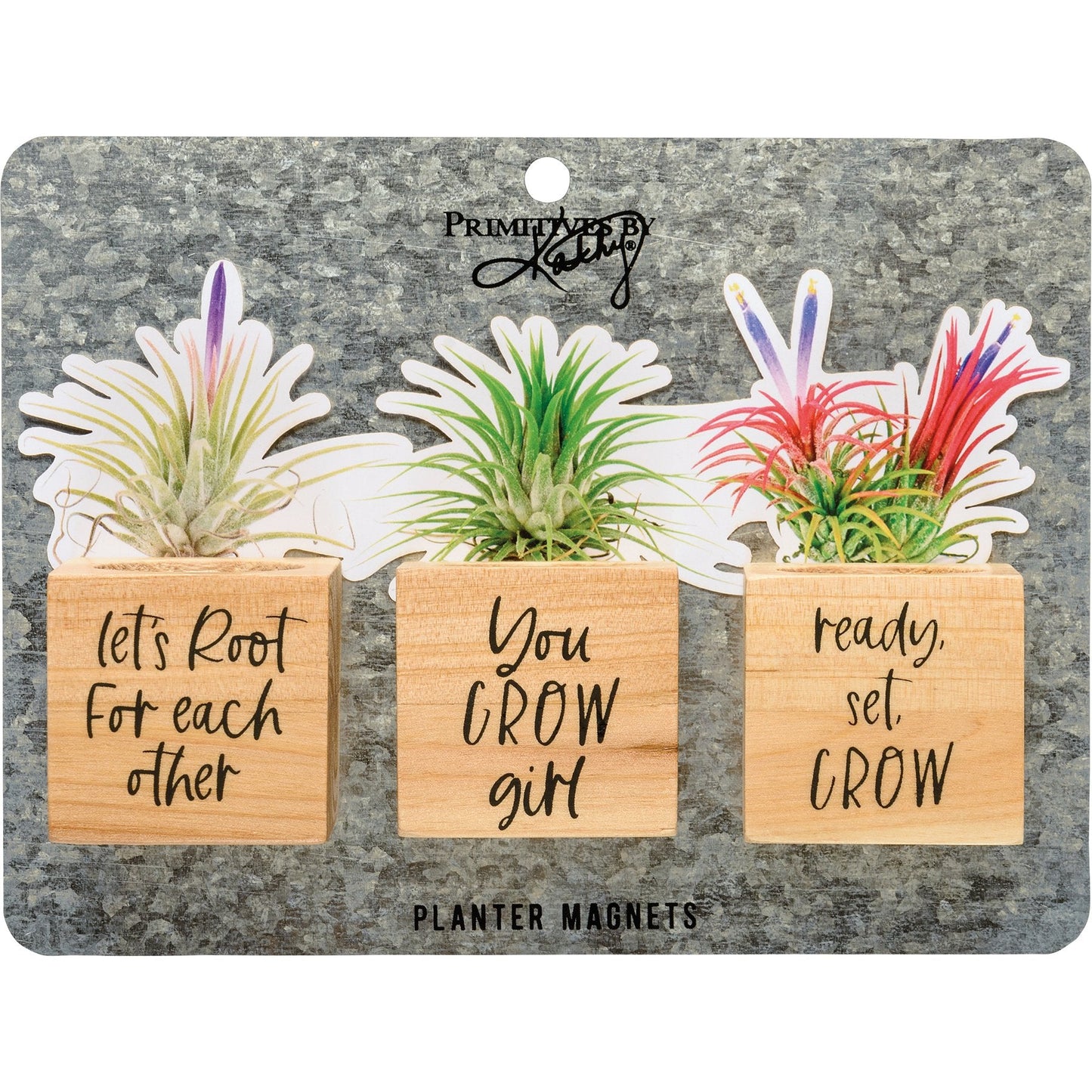 You Grow Planter Magnet Set Primitives by Kathy