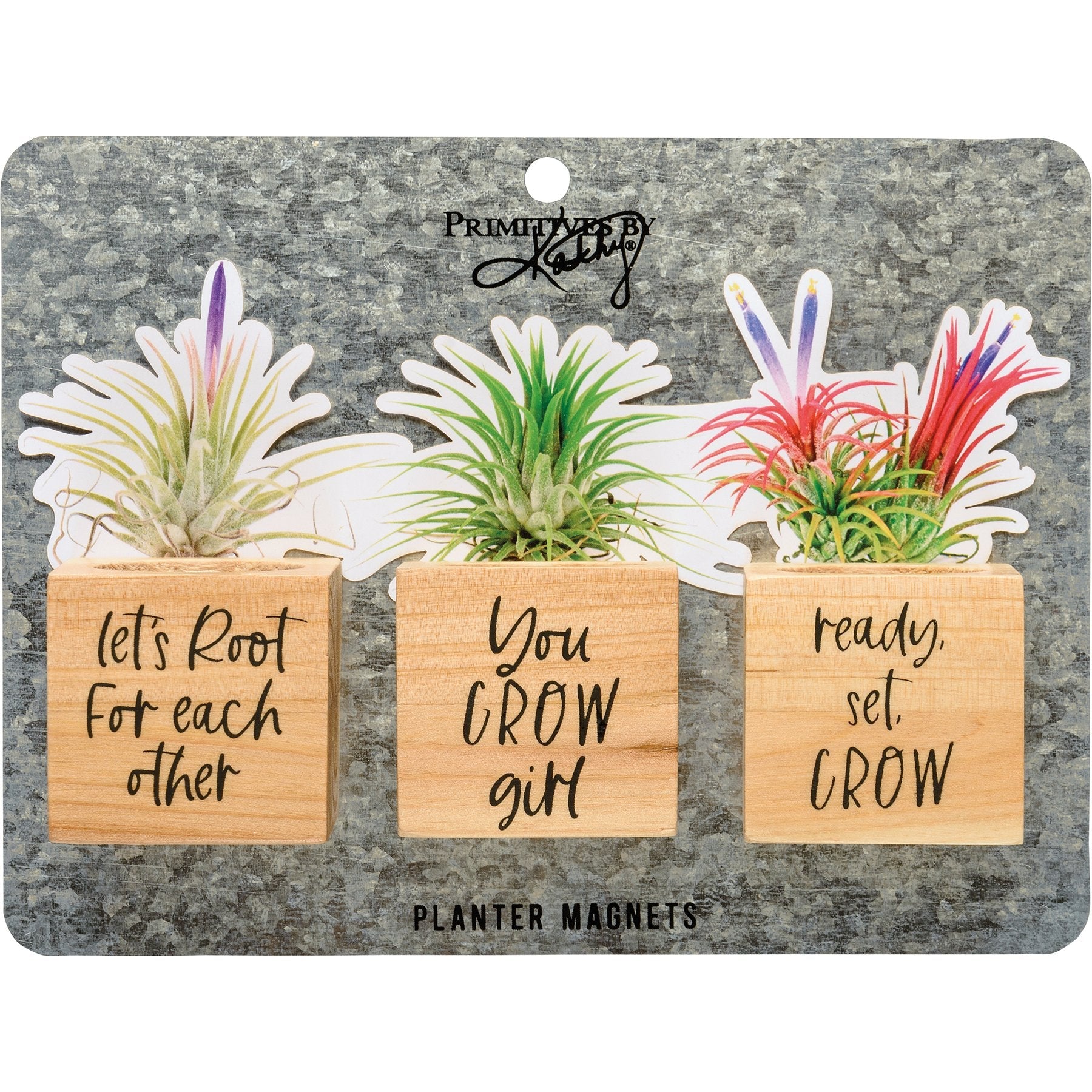 You Grow Planter Magnet Set Primitives by Kathy