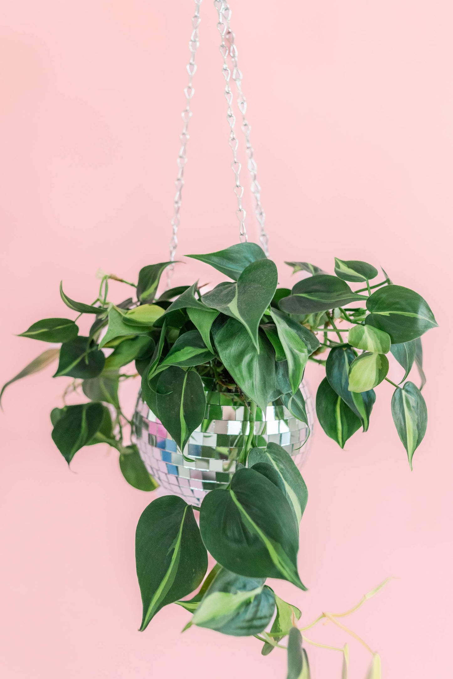 Disco Ball 6" Hanging Planter